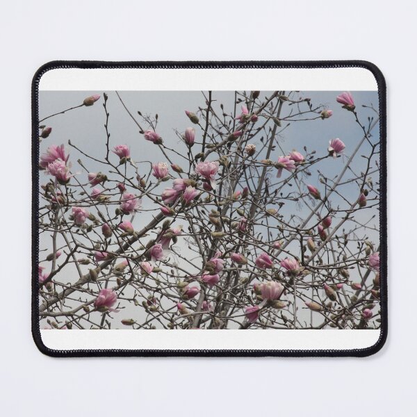 Item preview, Cherry Blossoms designed and sold by Songbird Photos.
