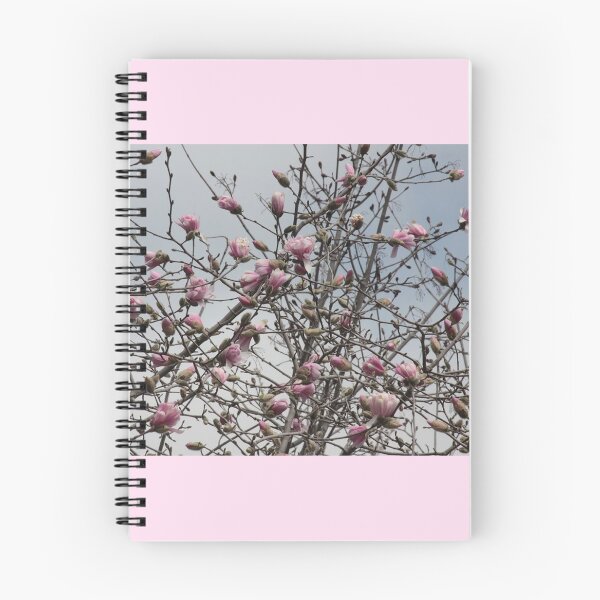 Item preview, Cherry Blossoms designed and sold by Songbird Photos.