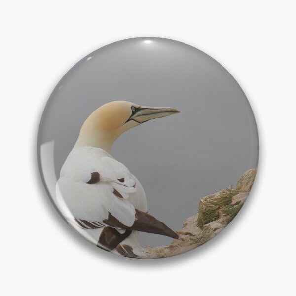 Item preview, Grounded Gannets  designed and sold by miradorpictures.