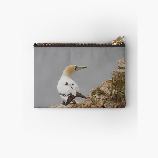 Item preview, Grounded Gannets  designed and sold by miradorpictures.