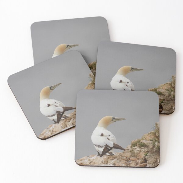 Item preview, Grounded Gannets  designed and sold by miradorpictures.