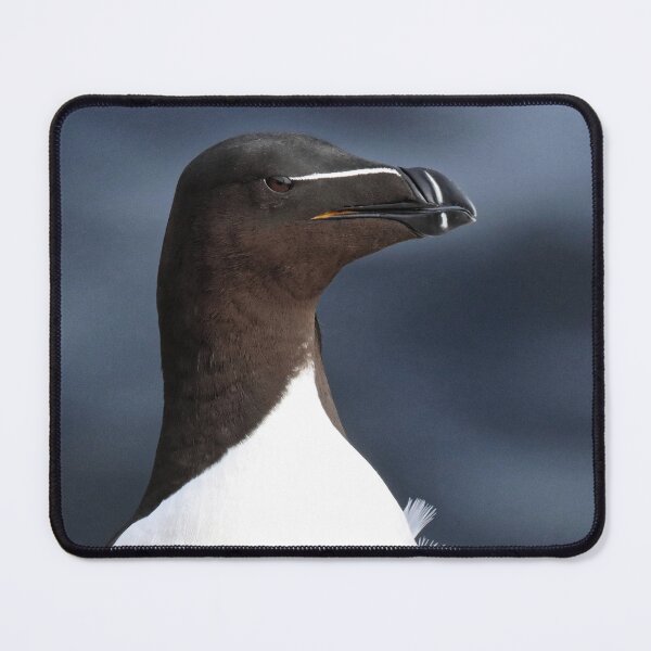 Item preview, Razorbill designed and sold by Marion Joncheres.