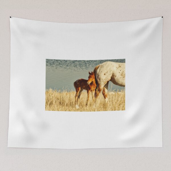 Item preview, Prairie Foal in tow designed and sold by colorfulbundles.