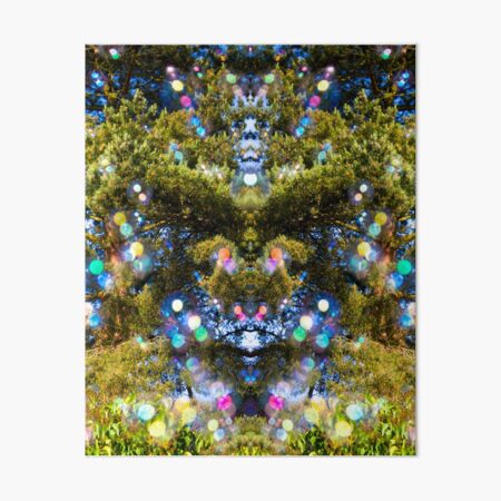Soap Film - Bubble Bears In The Trees Art Board Print