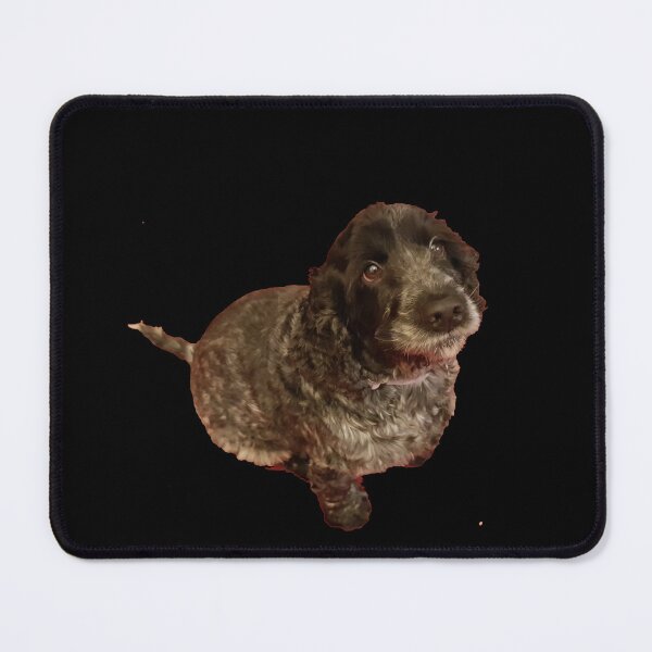 Item preview, Dog - Cocker Spaniel designed and sold by StomperMcEwan.