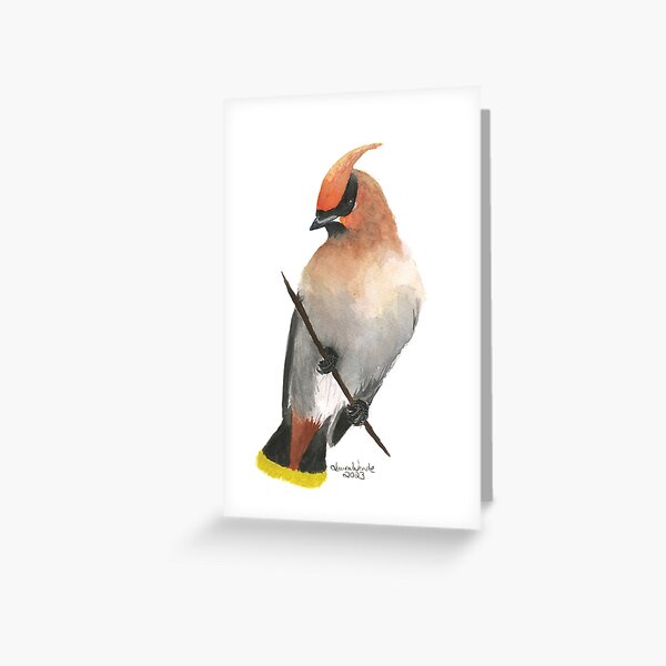 Item preview, Cedar Waxwing  designed and sold by LauraJenette.