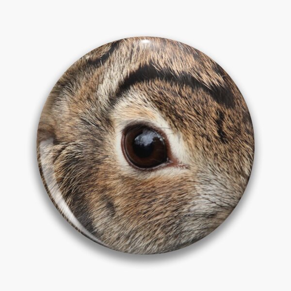 Item preview, Eastern Cottontail Portrait designed and sold by Debbie Oppermann.