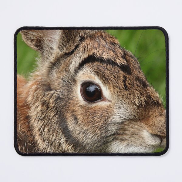 Item preview, Eastern Cottontail Portrait designed and sold by Debbie Oppermann.