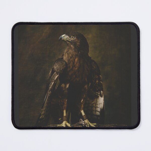 Item preview, Cora Borealis, the Dark Red-Tail designed and sold by MotherofFalcons.