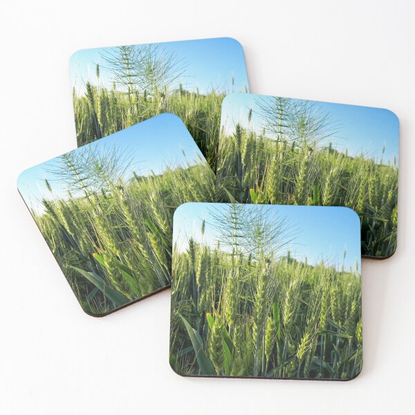 Item preview, Wheat, Sot designed and sold by SasaSafarik95.