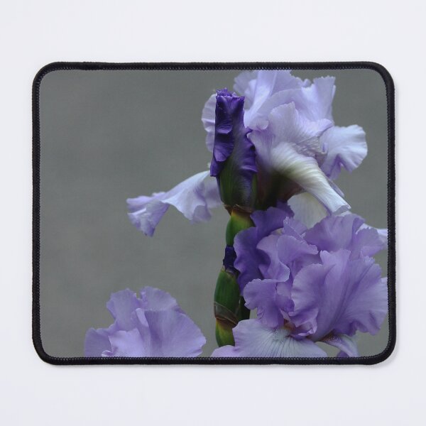 Item preview, Mary Frances Has The Blues designed and sold by Debbie Oppermann.