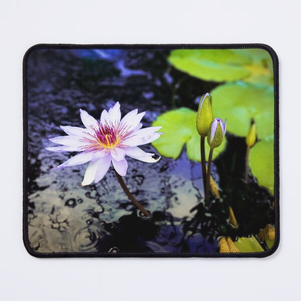 Item preview, Waterlily Pink Lavender and Buds in Lilypond  designed and sold by Kizzydesign.