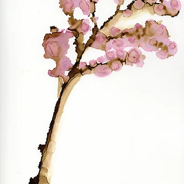 Artwork thumbnail, Spring bloom by Rtakahata