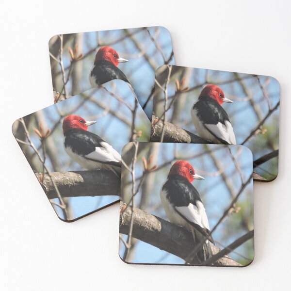 Item preview, Red-headed Woodpecker designed and sold by Bridget Swanson.