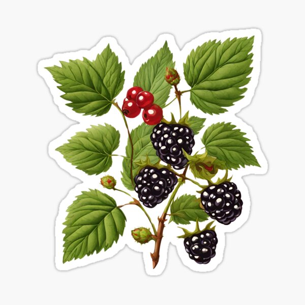 Item preview, Abstract Wild Berries  designed and sold by silviaol.