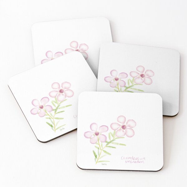 Item preview, Geraldton Wax designed and sold by Taisla-Made.