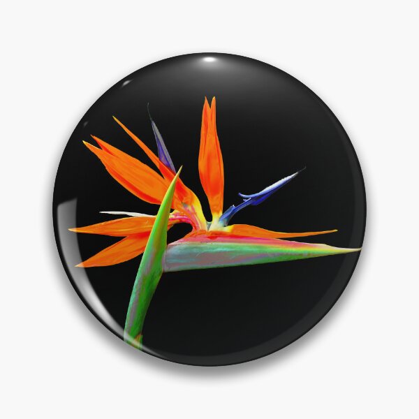 Item preview, Brilliant Bird of Paradise on Black Background designed and sold by jaynerushton.