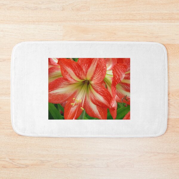 Item preview, Red Hippyastrum Lily designed and sold by JuliaWright.