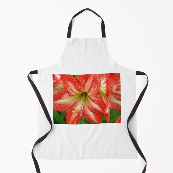 Item preview, Red Hippyastrum Lily designed and sold by JuliaWright.
