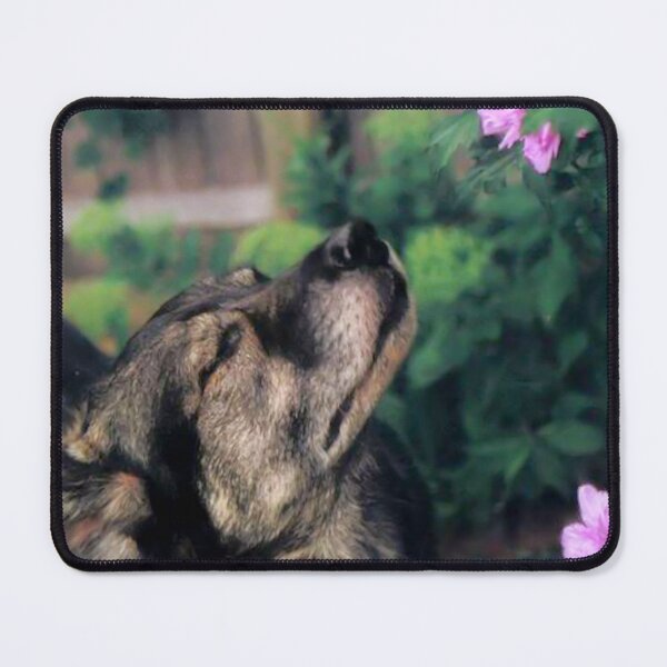 Item preview, Stop and Smell The Flowers designed and sold by WilliamsBB.