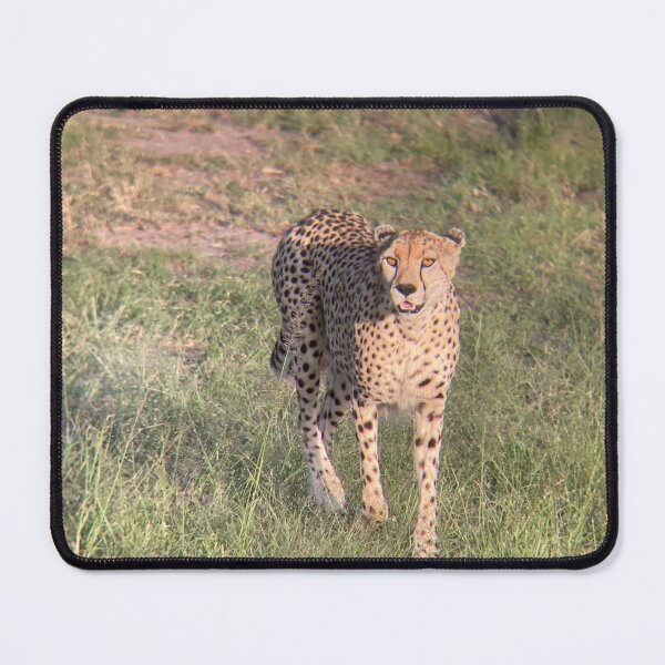 Item preview, cheetah  designed and sold by cjm-creations.