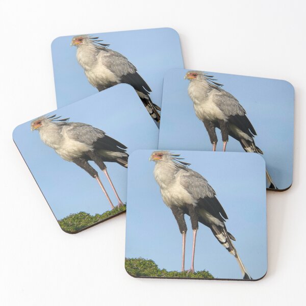 Item preview, secretary bird  designed and sold by cjm-creations.