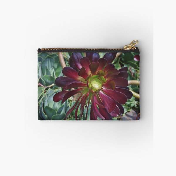 Item preview, Black Aeonium designed and sold by lezvee.