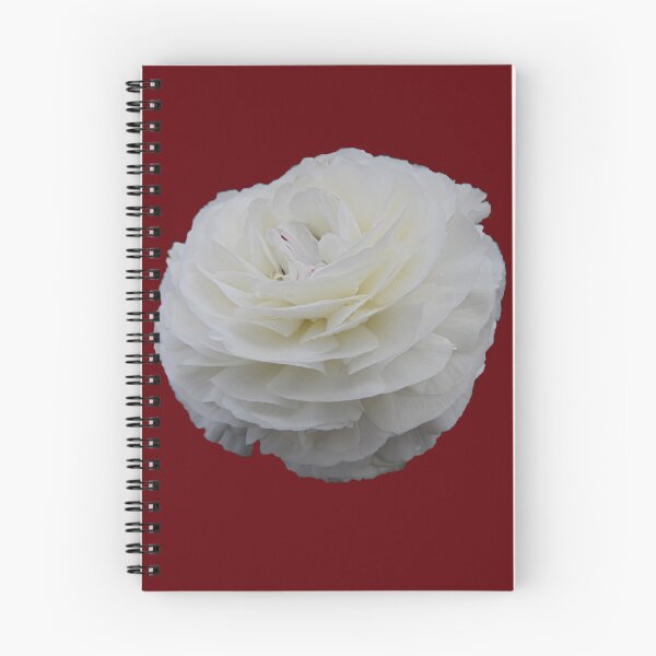 Item preview, Ranunculus Petals  designed and sold by AussieAl.