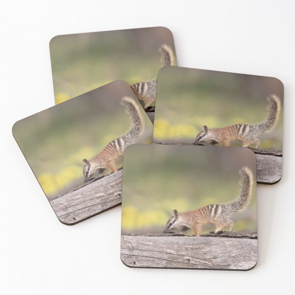 Item preview, Dryandra Numbub on a Log designed and sold by gwenthewren.