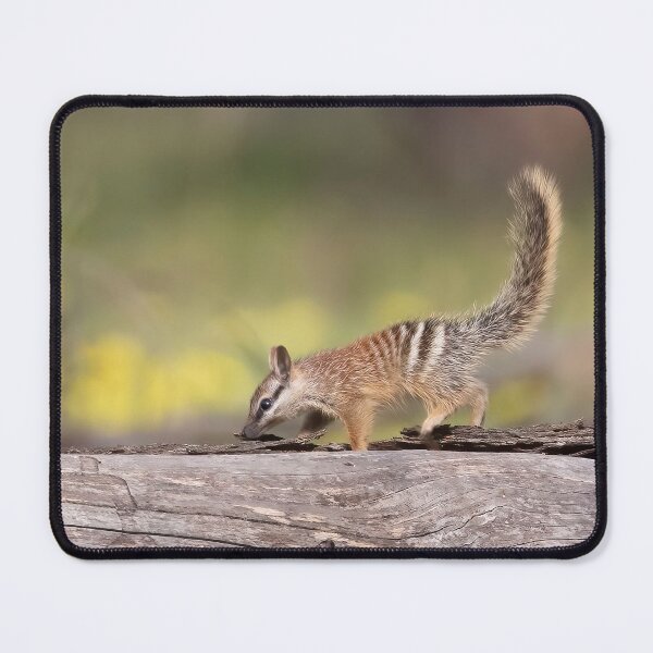 Item preview, Dryandra Numbub on a Log designed and sold by gwenthewren.