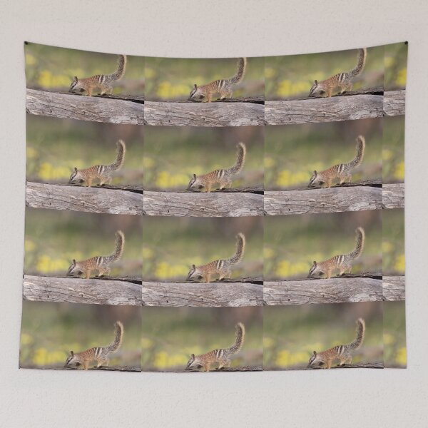 Item preview, Dryandra Numbub on a Log designed and sold by gwenthewren.