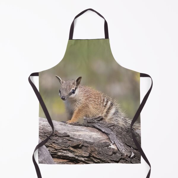 Item preview, Cutest little Numbat baby getting some sun designed and sold by gwenthewren.