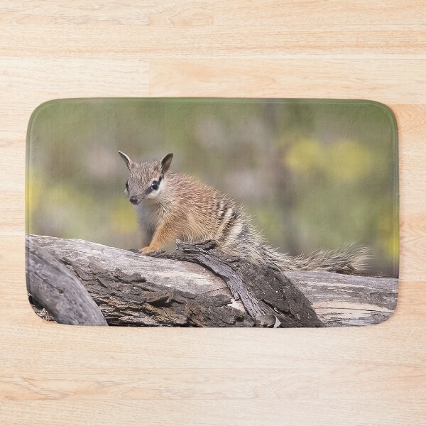 Item preview, Cutest little Numbat baby getting some sun designed and sold by gwenthewren.