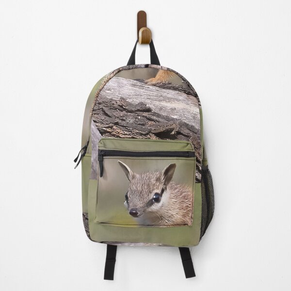 Item preview, Cutest little Numbat baby getting some sun designed and sold by gwenthewren.