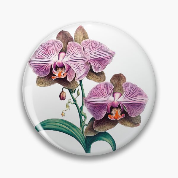 Item preview, Beautiful Pink Phalaenopsis Orchid designed and sold by LanaGustavsson.