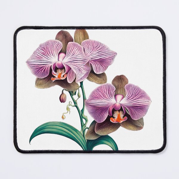 Item preview, Beautiful Pink Phalaenopsis Orchid designed and sold by LanaGustavsson.