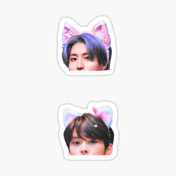 Minsung cats Sticker