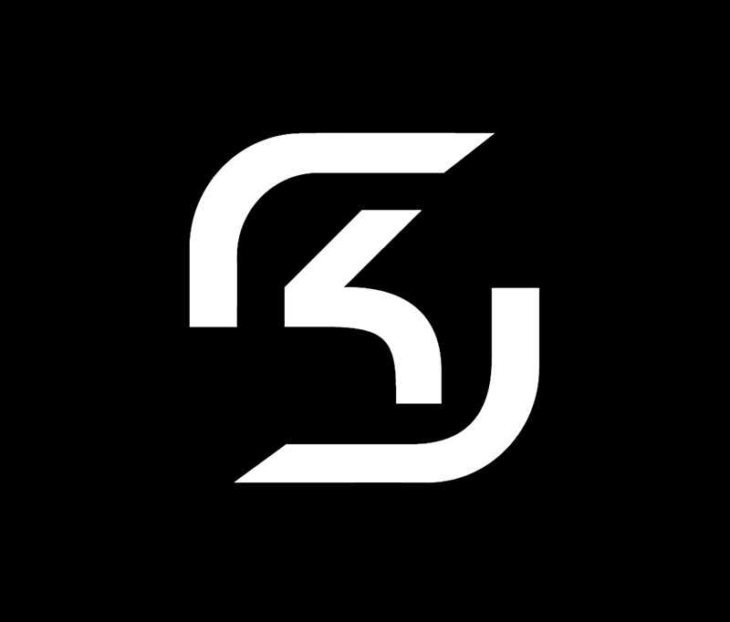 Image result for sk gaming