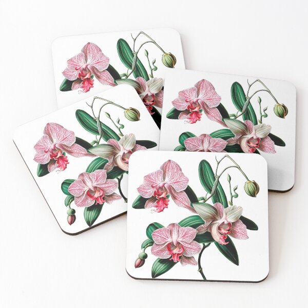 Item preview, Beautiful Pink Phalaenopsis Orchid designed and sold by LanaGustavsson.