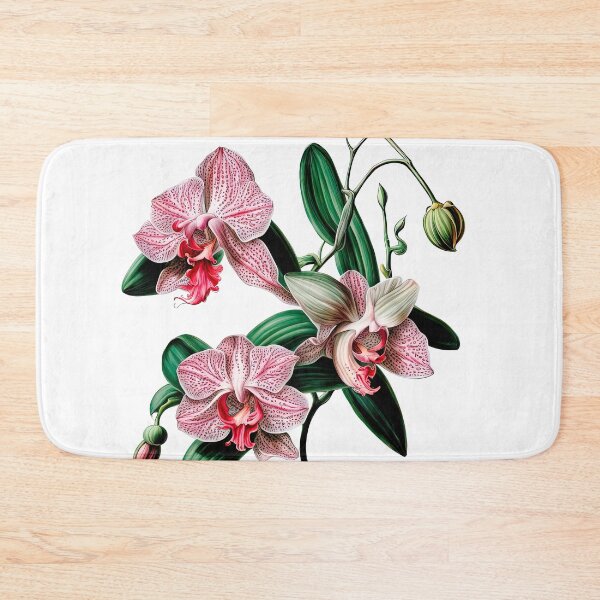 Item preview, Beautiful Pink Phalaenopsis Orchid designed and sold by LanaGustavsson.