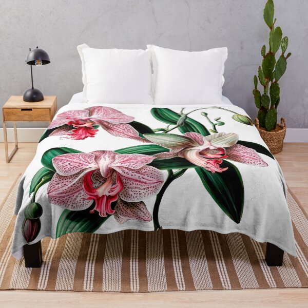 Item preview, Beautiful Pink Phalaenopsis Orchid designed and sold by LanaGustavsson.
