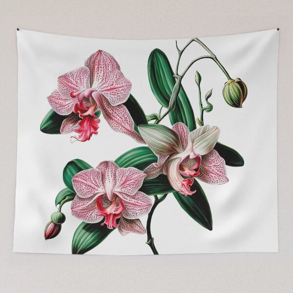 Item preview, Beautiful Pink Phalaenopsis Orchid designed and sold by LanaGustavsson.