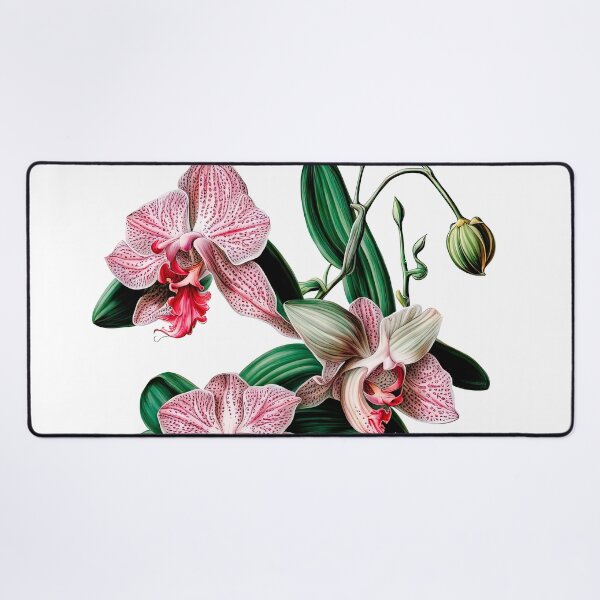 Item preview, Beautiful Pink Phalaenopsis Orchid designed and sold by LanaGustavsson.