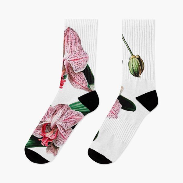 Item preview, Beautiful Pink Phalaenopsis Orchid designed and sold by LanaGustavsson.