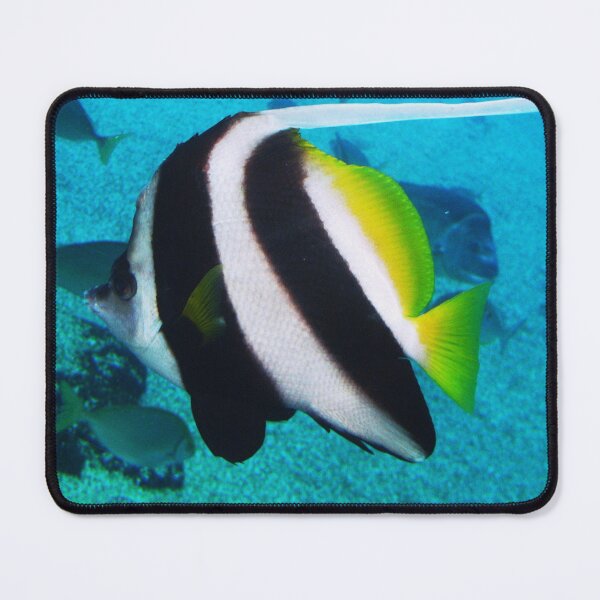 Item preview, False Moorish Idol Fish designed and sold by JuliaWright.