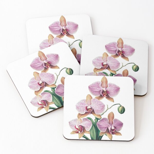 Item preview, Beautiful Pink Phalaenopsis Orchid designed and sold by LanaGustavsson.