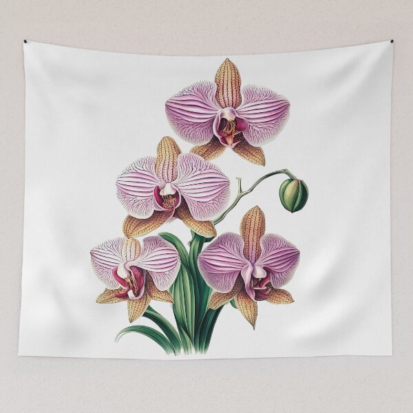 Item preview, Beautiful Pink Phalaenopsis Orchid designed and sold by LanaGustavsson.