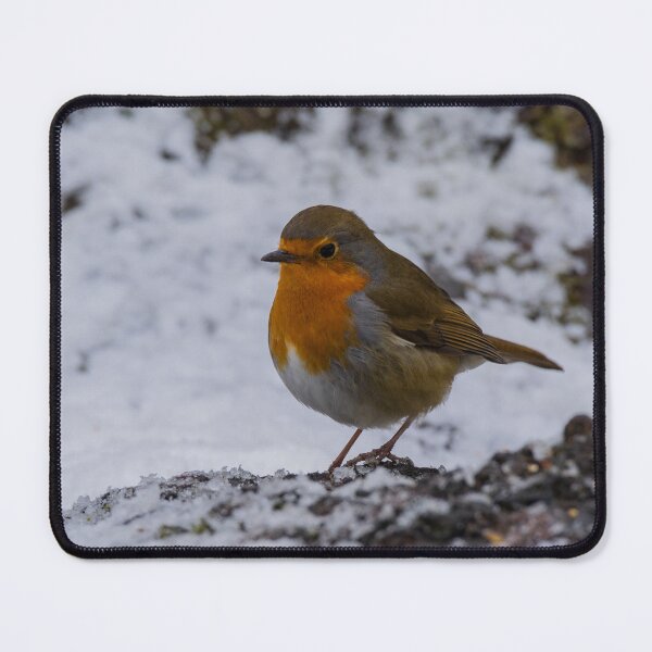 Item preview, Robin in winter designed and sold by AlanDPhotos.