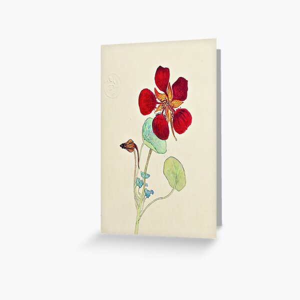 Item preview, hilma af klint designed and sold by GRAHAM POTER.