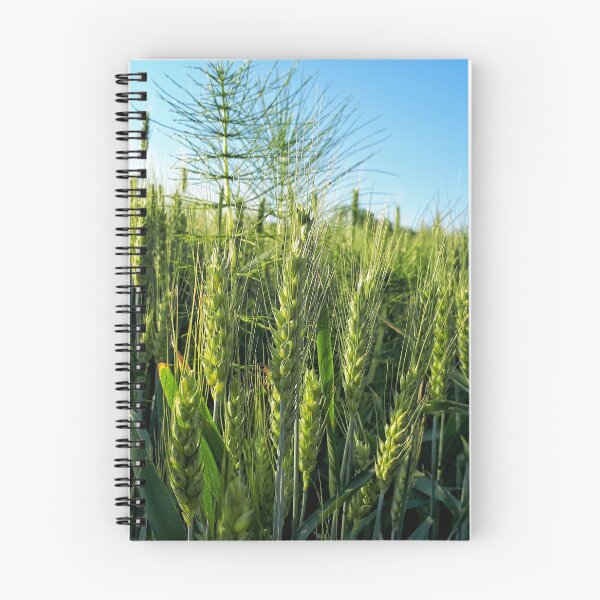 Item preview, Wheat, Sot designed and sold by SasaSafarik95.